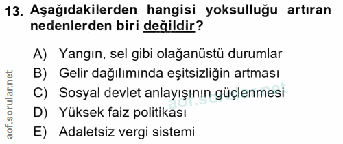 Soru 13