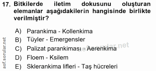 Soru 17