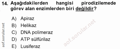 Soru 14