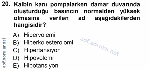Soru 20