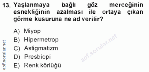Soru 13