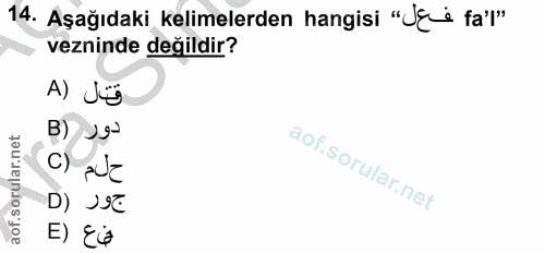 Soru 14