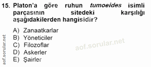 Soru 15