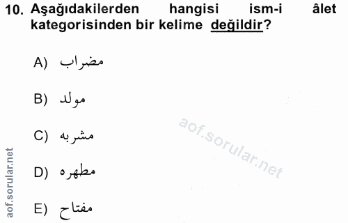 Soru 10