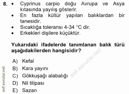 Soru 8