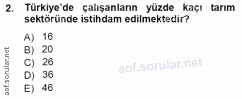 Soru 2
