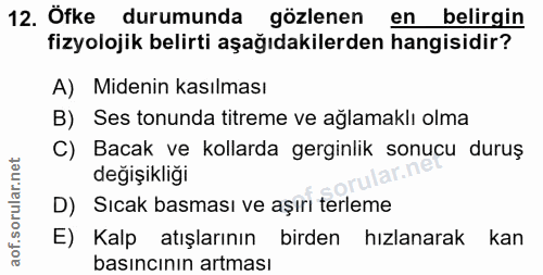 Soru 12