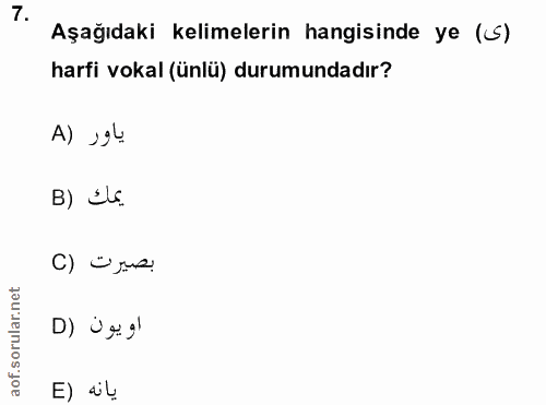 Soru 7