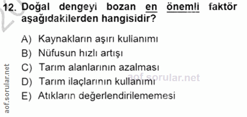 Soru 12