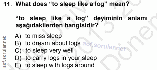 Soru 11