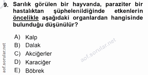 Soru 9