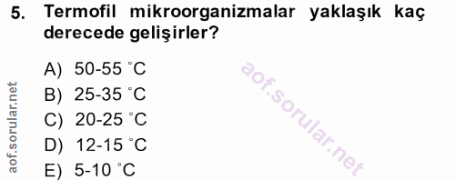 Soru 5