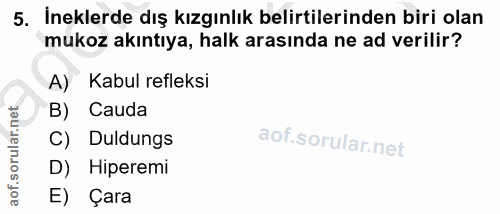 Soru 5