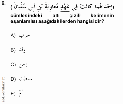 Soru 6