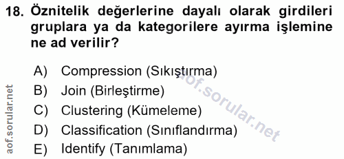Soru 18