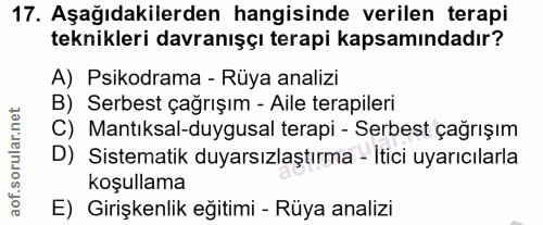 Soru 17