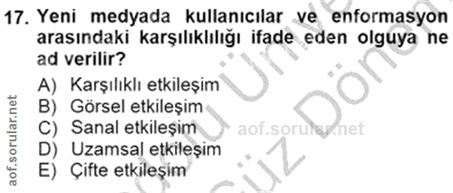 Soru 17