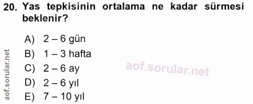 Soru 20