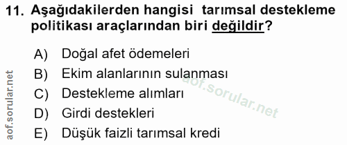 Soru 11