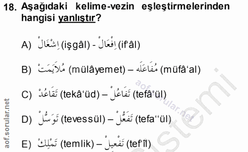 Soru 18