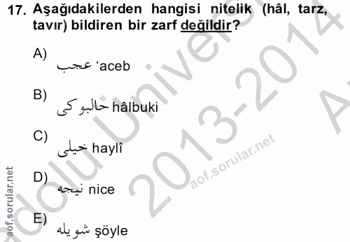 Soru 17