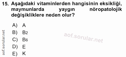 Soru 15