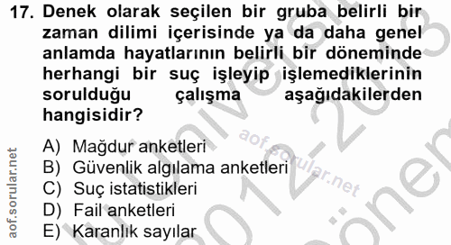 Soru 17