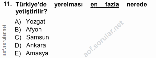 Soru 11