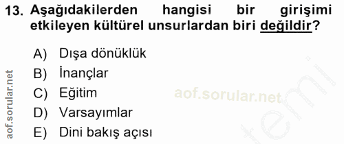 Soru 13