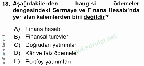 Soru 18