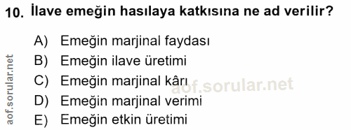 Soru 10