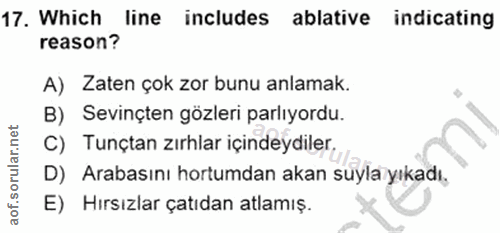 Soru 17
