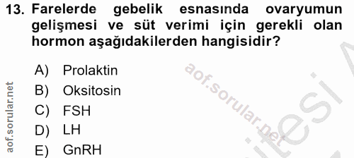 Soru 13