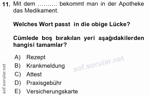 Soru 11