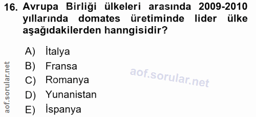 Soru 16