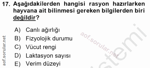 Soru 17