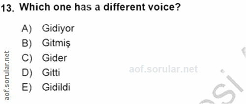 Soru 13