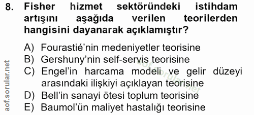 Soru 8