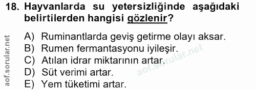 Soru 18