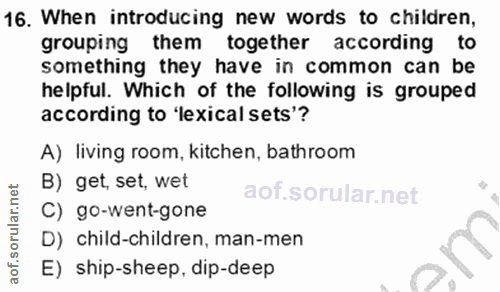 Soru 16