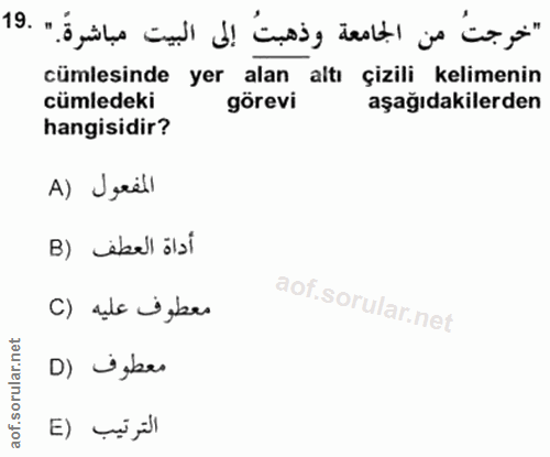 Soru 19