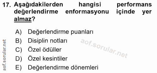 Soru 17