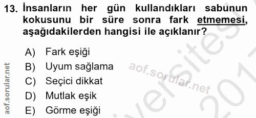 Soru 13
