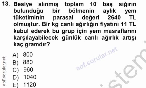 Soru 13