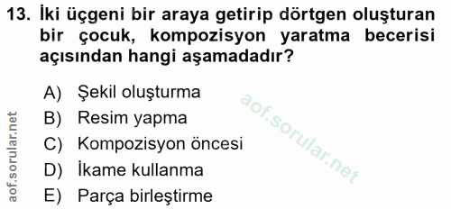 Soru 13