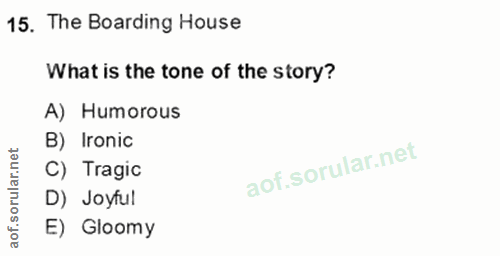 Soru 15