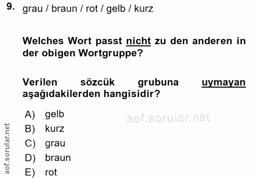 Soru 9