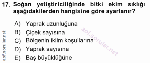 Soru 17