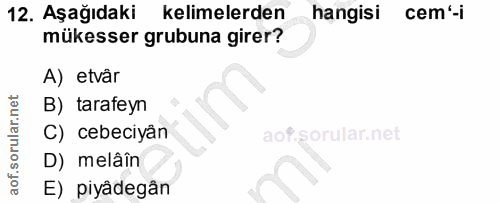 Soru 12