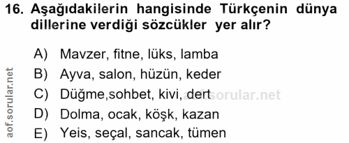 Soru 16